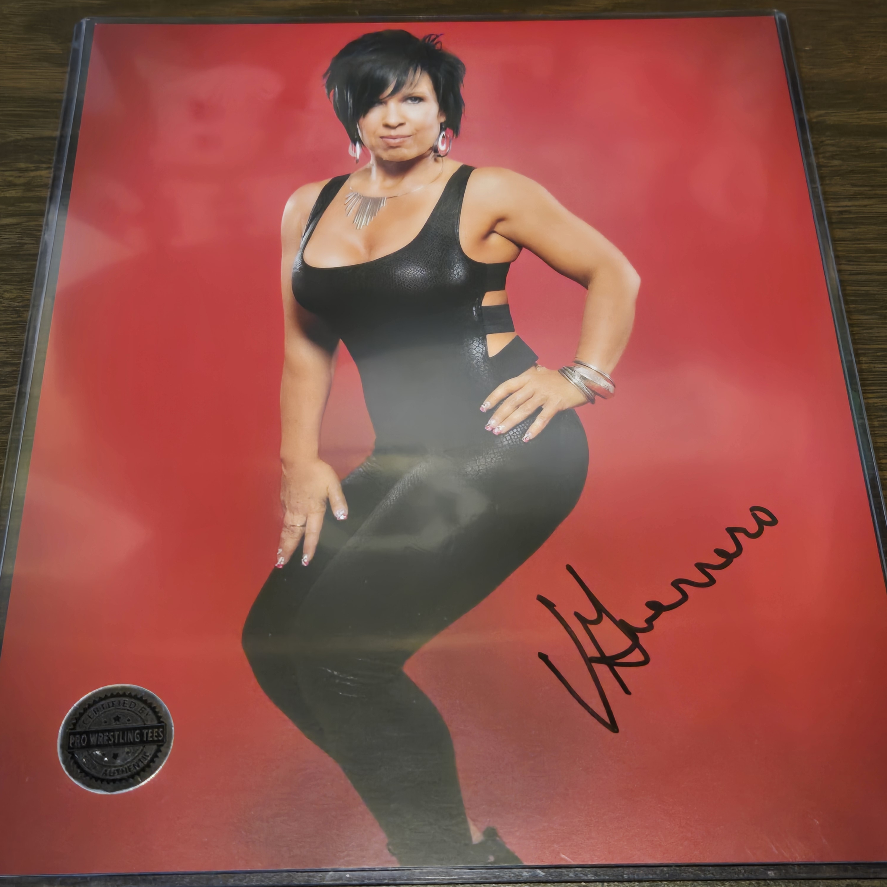 Wwe Wrestling Photo